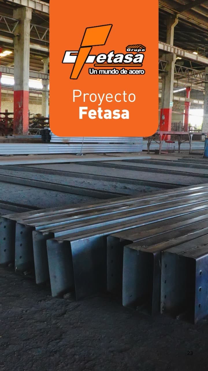 Portada del reel: Proyecto Fetasa